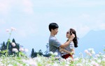 Lễ hội hoa Tam giác mạch khác lạ ở Sun World Fansipan Legend