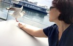 Đến Sydney ngắm các loài chim dạn dĩ hơn người 