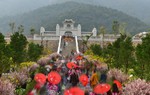 Hàng trăm cây anh đào Nhật Bản và mai vàng Yên Tử chào đón 8/3 
