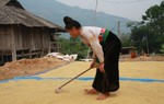 Đứa con bất hiếu dùng súng kíp bắn mẹ 