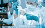 Tương lai con người có thể mọc lại tay chân nhờ gene tái sinh?