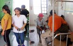 Tảo mộ rằm tháng Giêng, nhiều người trong dòng họ bị ong đốt nhập viện