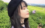 Trương Quỳnh Anh xinh như 'sao' Hàn bên đồi chè 