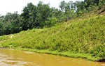 Nghệ An: 3 học sinh đuối nước thương tâm sau khi đi cắt cỏ