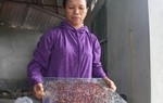 Bệnh tật bủa vây người dân quanh bãi rác Nam Sơn