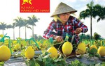 Doanh nghiệp, hộ sản xuất cần sẵn sàng tận dụng cơ hội khi thực thi Hiệp định EVFTA
