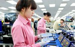 Nhiều doanh nghiệp trả lương dưới mức lương tối thiểu vùng