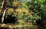 Lội suối, ngồi thiền giữa rừng Tánh Linh