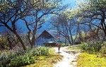 Thầy giáo tật nguyền cắm bản, mang chữ đến với trẻ em Mông