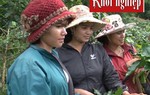 Câu chuyện khởi nghiệp thành công của phụ nữ dân tộc thiểu số