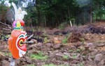 3 con trâu điên mắc bẫy thợ săn