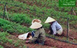 Gắn “5 không, 3 sạch” với xây dựng Nông thôn mới ở Lâm Đồng