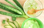 4 mẹo làm đẹp bằng nha đam nhiều chị em chưa biết