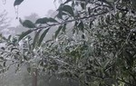 Mẫu Sơn xuất hiện băng giá