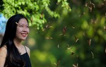 Tháng 5 chò nâu ngập lối, nhớ những vòng xoay níu thời gian trở lại
