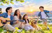 Sự kỳ diệu của cuộc sống