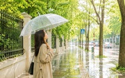 Cười trong nước mắt