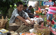 Lan tỏa "tinh thần xanh" tại phiên chợ “Hành động xanh” vì môi trường