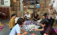 Thái Bình: Quỹ Hỗ trợ phụ nữ quan tâm đến các gia đình phụ nữ nghèo, có hoàn cảnh khó khăn