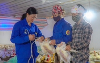 Đi từ không đến có để gây dựng trang trại quy mô lớn