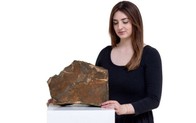 Đấu giá khối đá Sao Hỏa lớn nhất từng được tìm thấy trên Trái Đất