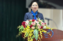 Phát huy vai trò của Hội LHPN Việt Nam trong phòng, chống bạo lực gia đình