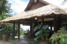 Nương náu dưới hiên nhà