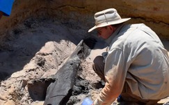 Hiện vật gỗ 500 nghìn năm tuổi hé lộ bí mật về tổ tiên loài người