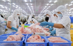 Bộ Công Thương thông tin về đàm phán thương mại đối ứng giữa Việt Nam-Hoa Kỳ