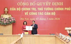 Bà Nguyễn Thị Tuyến giữ chức Phó Bí thư Đảng ủy Chính phủ