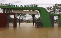 Thí sinh trúng tuyển 2 trường đại học ở miền Trung được gia hạn nhập học
