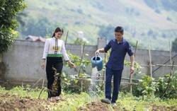 Bình đẳng giới thực chất trong xây dựng nông thôn mới vẫn còn khoảng cách xa với các tiêu chí đạt được