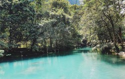 Việt Nam sở hữu con suối xanh mướt hiếm có, ai đến cũng trầm trồ ngỡ ngàng