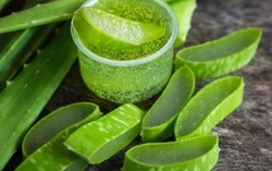 Nhiều người chỉ biết dùng nha đam làm đẹp mà không biết những đại kỵ này rất dễ rước họa
