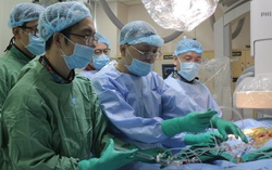 2.000 chuyên gia tham dự hội nghị trực tuyến về điều trị tim mạch