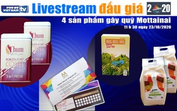 11h30 ngày 23/10: Livestream đấu giá 4 sản phẩm gây quỹ Mottainai 2020