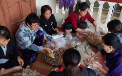 Hội LHPN tỉnh Quảng Bình khẩn trương hỗ trợ người dân khắc phục hậu quả sau lũ
