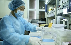 Ghi nhận 8 ca mới nhiễm Covid-19, trong đó có 3 trẻ nhỏ