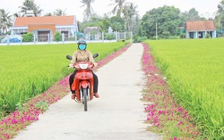 Phụ nữ Long An chung sức xây dựng nông thôn mới