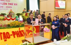 Tỉ lệ nữ tham gia Ban Thường vụ Tỉnh ủy Bắc Kạn tăng 10% so với nhiệm kỳ trước