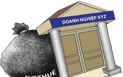 Đồng Nai: Nhiều doanh nghiệp địa ốc bị cưỡng chế nợ thuế từ tài khoản