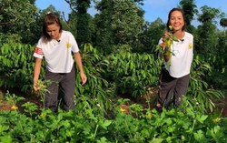 Mê ăn rau rừng, nào ngờ H'Hen Niê đẹp bên ngoài lẫn khỏe bên trong