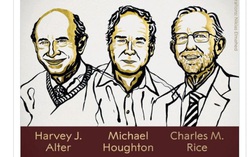 Nghiên cứu về virus viêm gan C giành Nobel Y học 2020