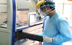 Hải Phòng xác định 152 trường hợp F1 liên quan đến ca nghi nhiễm Covid-19