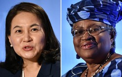 Lần đầu tiên trong lịch sử WTO sẽ có nữ Tổng giám đốc