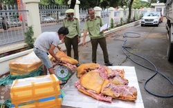 Phát hiện 3 tạ thịt heo bốc mùi hôi thối đang "tuồn" ra thị trường