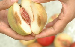 Những thói quen ăn trái cây khiến mất sạch chất lại còn rước ung thư, ký sinh trùng