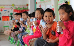 Cải thiện kỹ năng thực hành dinh dưỡng để nâng cao tầm vóc Việt
