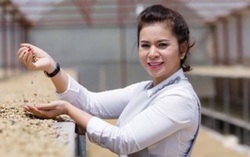 Bà Lê Hoàng Diệp Thảo nhậm chức Phó Chủ tịch Hiệp hội Cà phê Ca cao Việt Nam