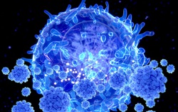 Singapore thử nghiệm tế bào T Covid-19 đầu tiên dành cho những trường hợp nghiêm trọng